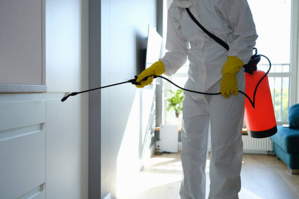 Water Damage Restoration in Owensville, IN