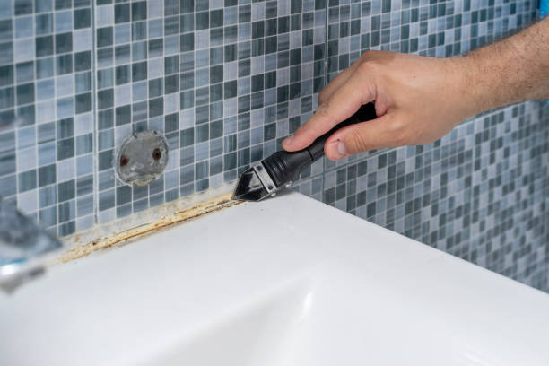 Best Home Mold Removal  in Owensville, IN